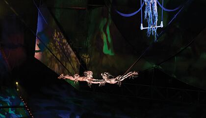 Bungee from the show Mystère by Cirque du Soleil